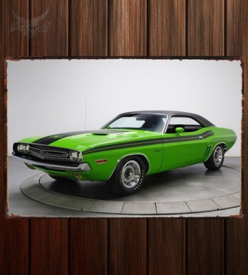 Металлическая табличка Dodge Challenger R T 225